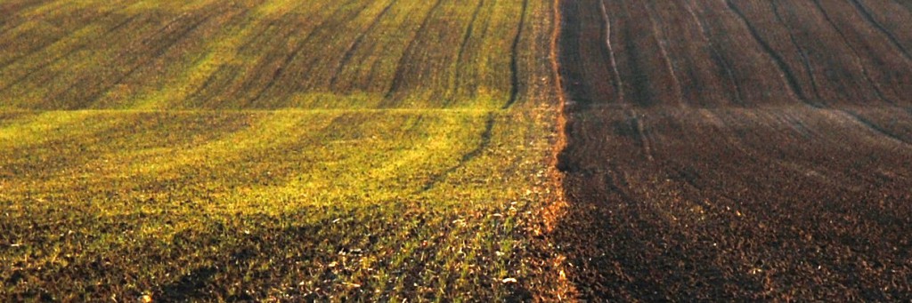 004344 - Copie